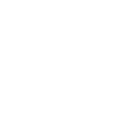 1PV