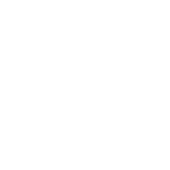 LAN Experience